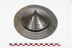 Foto von Bronzephalere (NHMW-PRAE-025079)